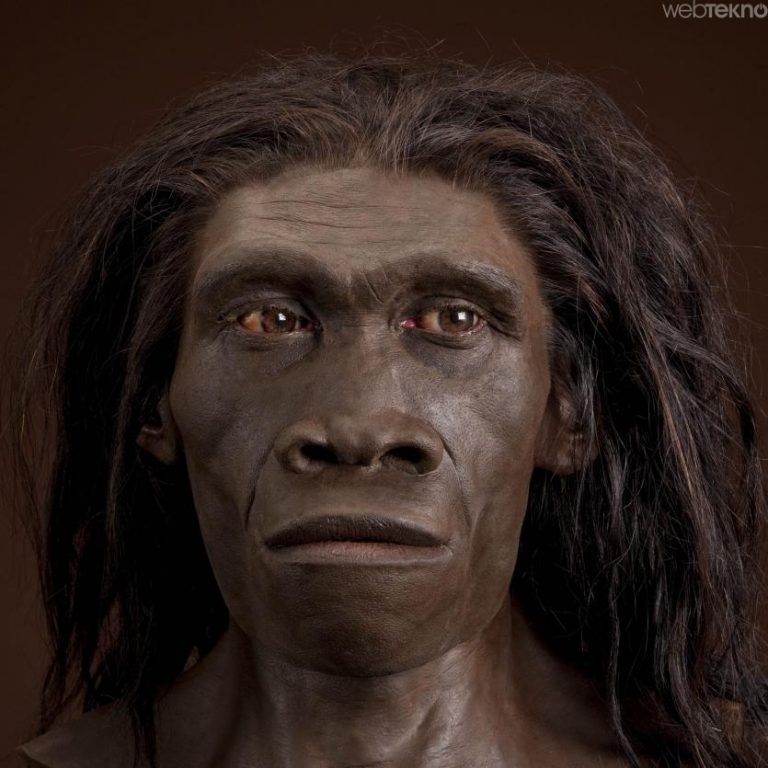 Neandertal nedir? Neandertal hakkında bilgiler
