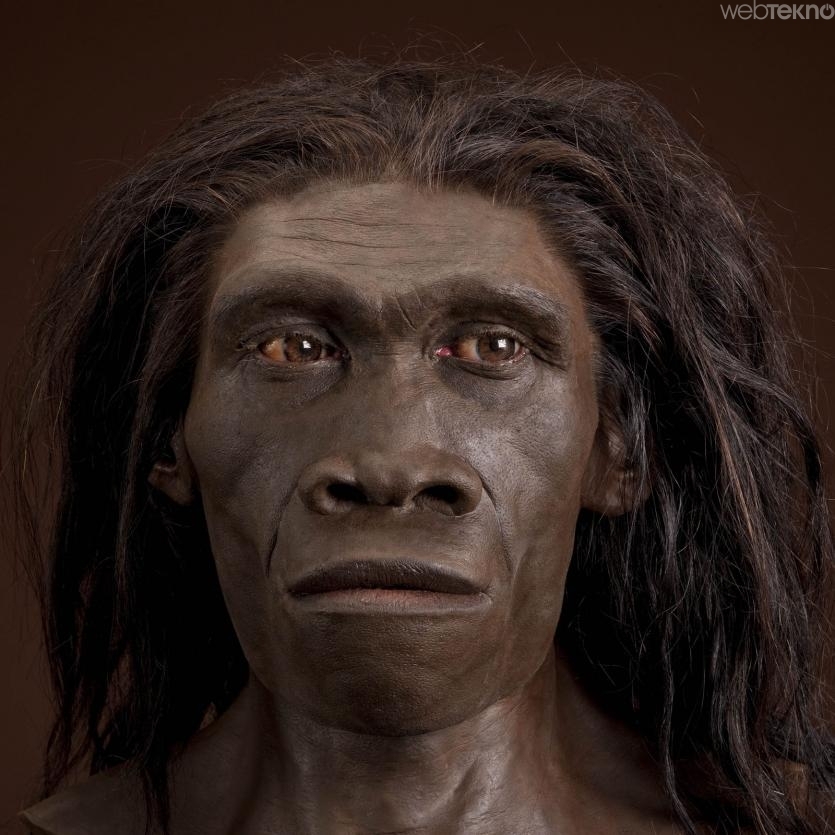 Neandertal nedir? Neandertal hakkında bilgiler