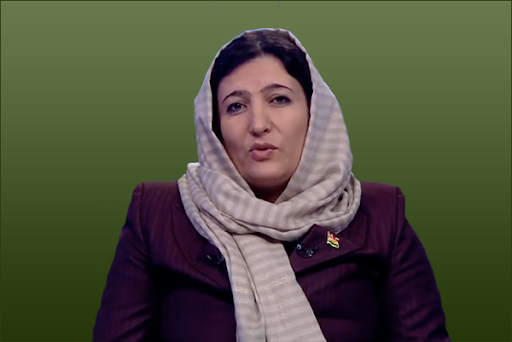 Fesla Yusif: İngiltere demografinin değişmesini istemiyor