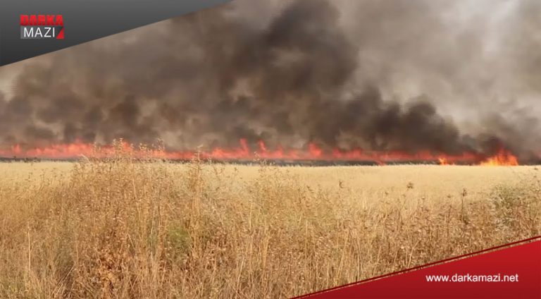 Kürt çiftçilerden ‘ithal’ Araplara: Tehditlerden korkmuyoruz