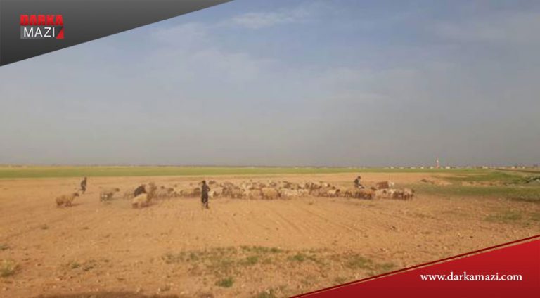 Gri Spi'de patlama 2 çocuk hayatını kaybetti