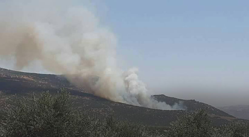 TSK Efrin ve Halep kırsalını bombalandı