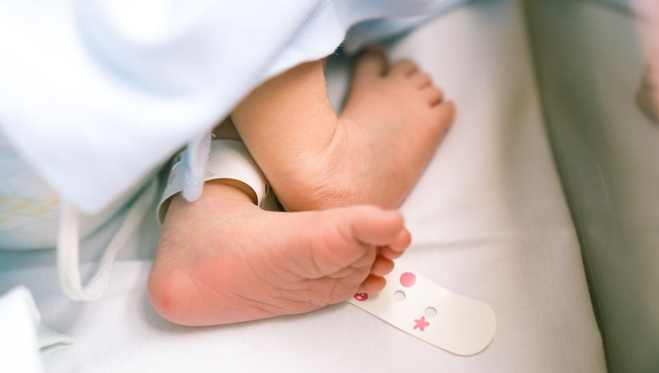 TÜİK verilirine doğum oranı en yüksek iller Urfa, Şırnak, Siirt, Mardin oldu