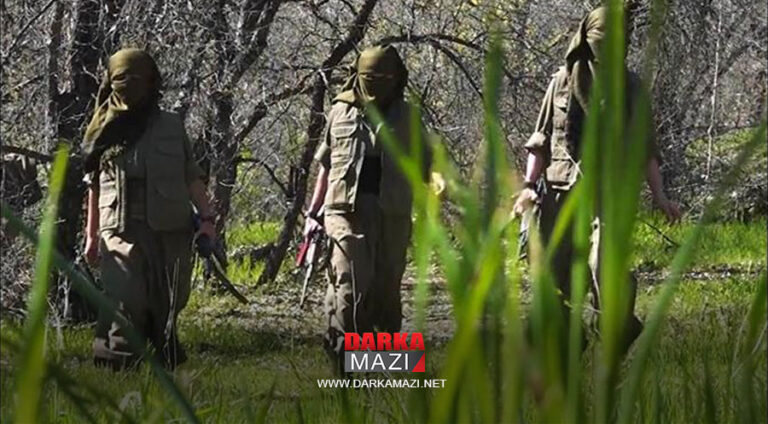 Eski PKK yöneticisi, siyasetçi Şefiq: PKK'nin yürüttüğü savaş başka yerden kontrol ediliyor