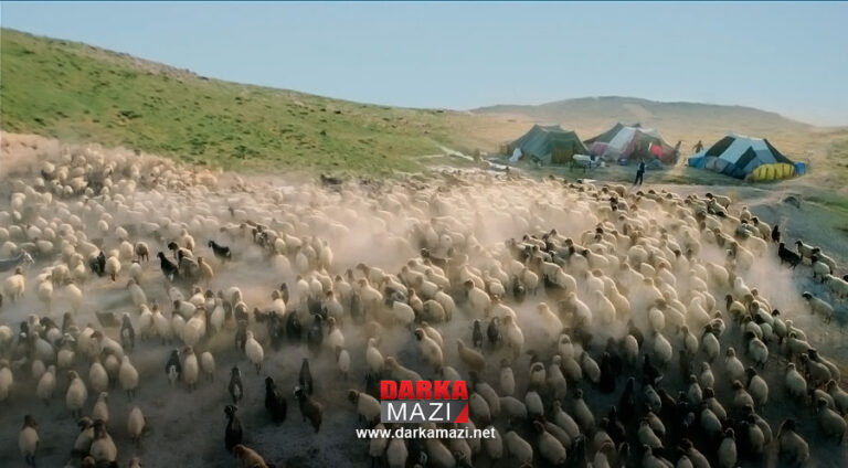 Göçerler Şênê yaylalarından zorla çıkarıldı Şenyayla, Diyarbakır,Muş Diyarbakır Barosu, Nihat Eren