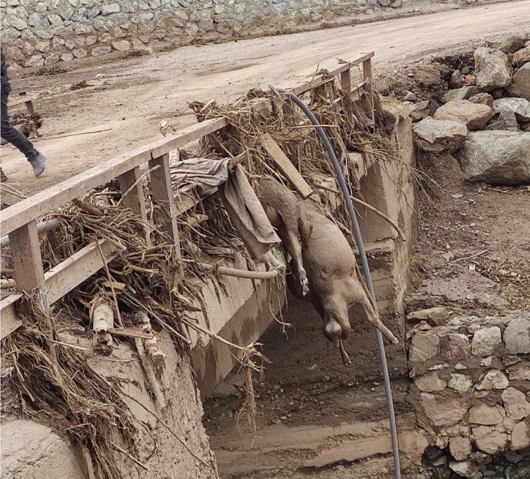 Van’daki sel felaketine rağmen hala afet bölgesi ilan edilmedi