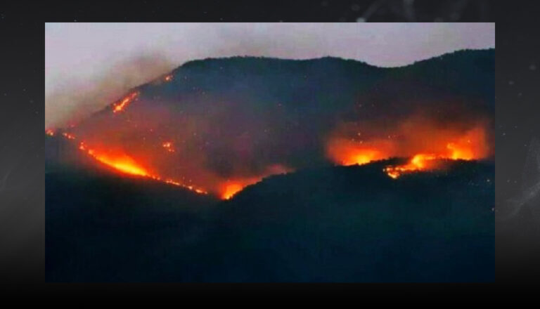 Dersim yanıyor, halkın müdahalesine izin verilmiyor
