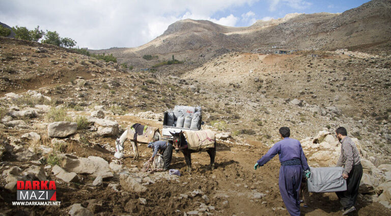 32 yaşındaki Kürt kolber İran saldırısı sonucu hayatını kaybetti