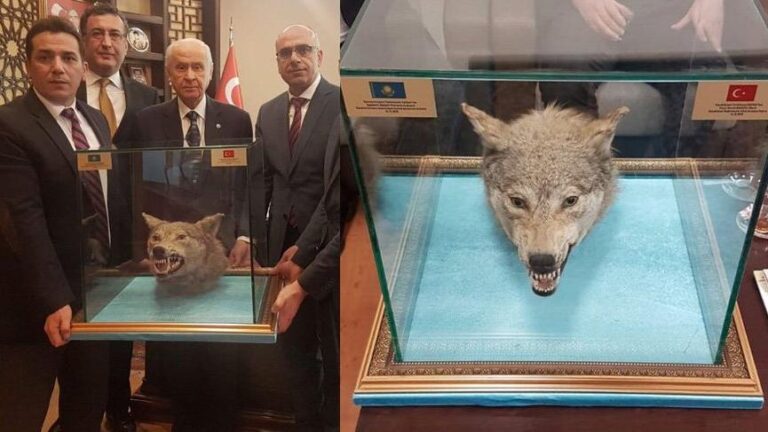 Bahçeli, Kerkük için yine konuştu: Kerkük'te etten duvar öreriz