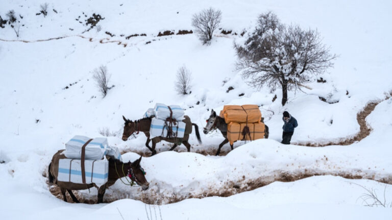 Hengaw: Mart ayında 33 kolber İran güvenlik güçlerinin saldırısına uğradı