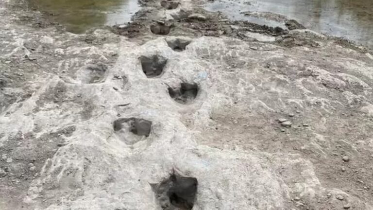 Kuraklık ABD'de 113 milyon yıllık dinozor ayak izlerini ortaya çıkardı