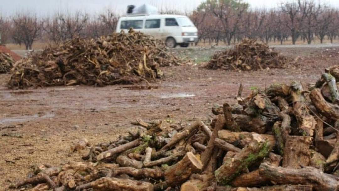 ENKS, Efrin için uluslararası topluma çağrı yaptı:"Ahlaki değerlerden yoksun korkunç ihlaller devam ediyor"