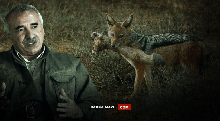 Karayılan’ın 5 tespiti ve çakallık siyasetine dair birkaç söz