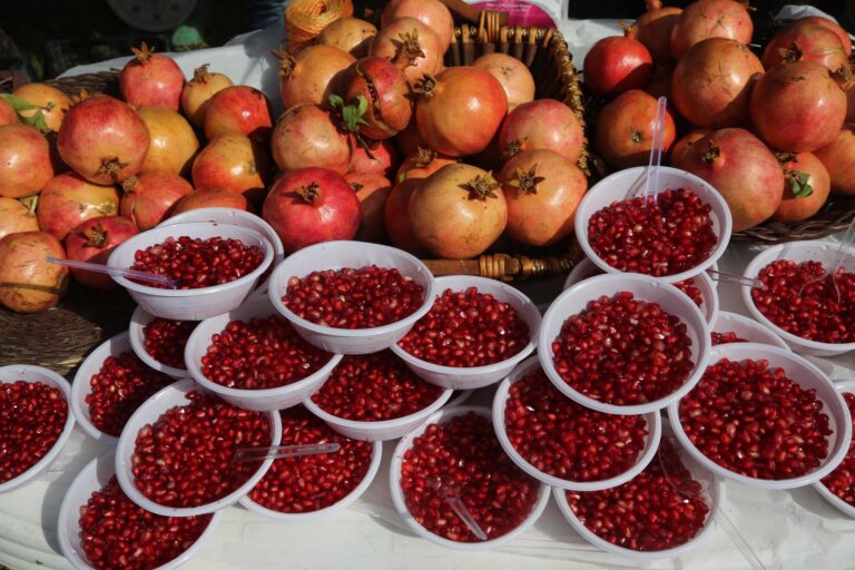 Halepçe’de 8’inci Nar Festivali: 26 çeşit nar sergilenecek