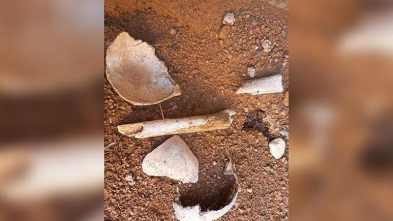 Şengal’de bir toplu mezar daha bulundu