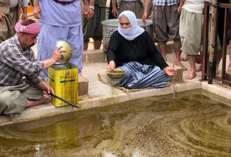 Ezidi Kürtlerin tapınağı Laleş’te zeytinyağı yapma mesaisi başladı, Baba Şeyh, Duhok, Laleş