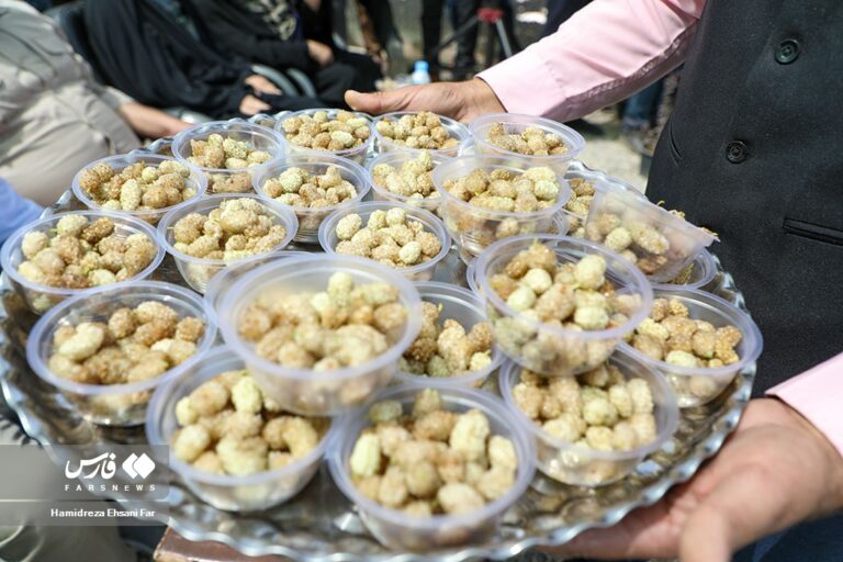 Doğu Kürdistan: Hawraman'da "Dut Festivali'nin" hazırlıkları başladı