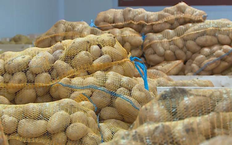 Kürdistan Bölgesi körfez Ülkelerine patates ihraç etmeye başladı