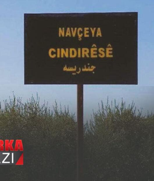 Efrin’de zulüm devam ediyor: Çeteler zeytin ağaçlarını gözlerinin önünde kesti, kalp krizi geçirdi