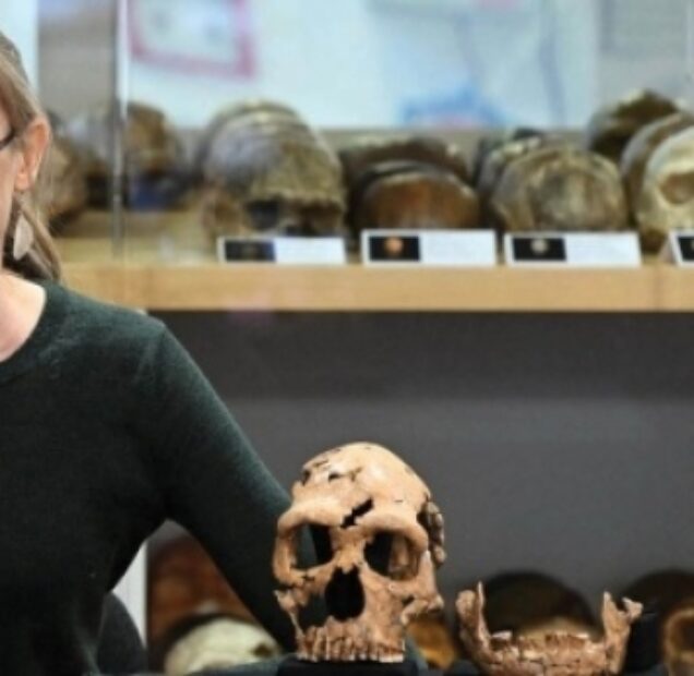Şanedar Mağarasında bulunan Neandertal’in yüzü 3D tekniği ile yeniden yaratıldı