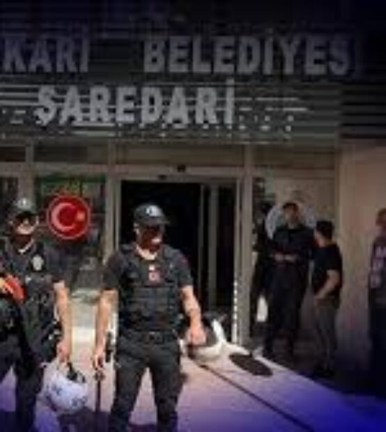 DEM Parti’den Hakkari Belediye Başkanı M.Sıddık Akış’a verilen cezaya tepki