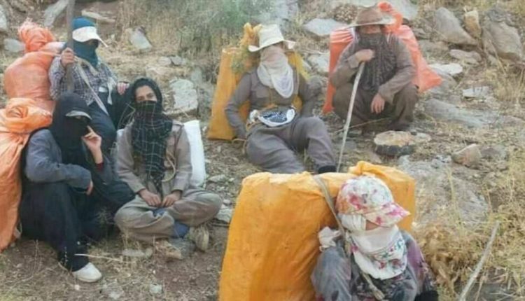 İran devleti 26 yaşındaki bir çocuk annesi kadın kolberi katletti