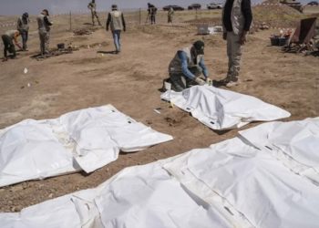 Kapanmayan yara: 22 Ezidi Kürdün daha cenazesi ailelerine teslim edilecek