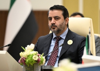 Esad Şeybani'den Rojava ile ilgili dikkat çeken açıklama: DSG üyeleri için Ankara ile bir "af mekanizması" çalışıyoruz