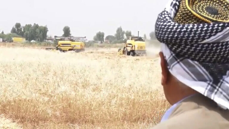 Kerkük'te yerleştirilen Araplar, Kürt çiftçilerin arazilerini sürüyor