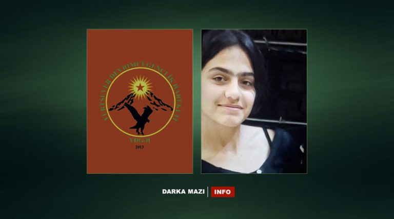 Rojava: Ciwanên Şoreşger 12 yaşındaki Zeynep’i kaçırdı