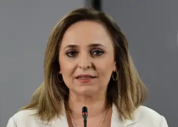 Ayşegül Doğan: Bu gizli ajandalı bir süreç değil