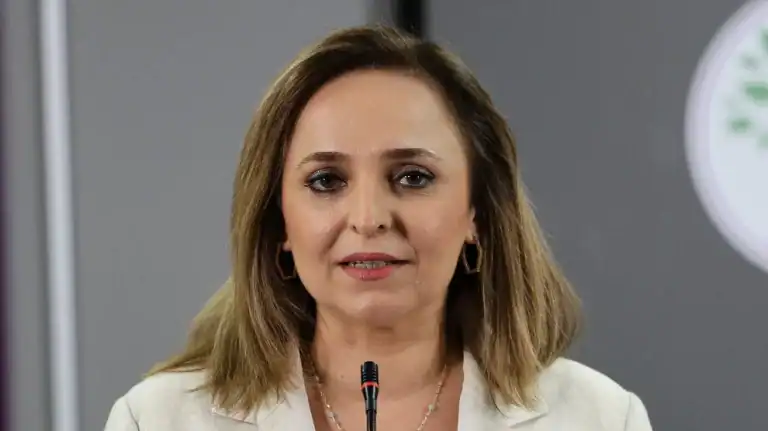 Ayşegül Doğan: Bu gizli ajandalı bir süreç değil