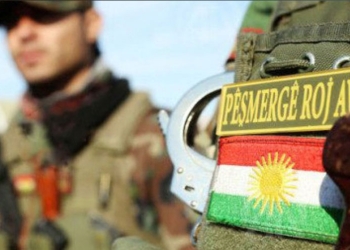 Roj Peşmergelerine Suriye'ye dönme çağrısı yapıldı
